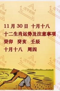 十二生肖：11月29日运势大揭秘