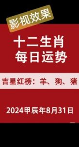 冷静自持：今日运势全解析