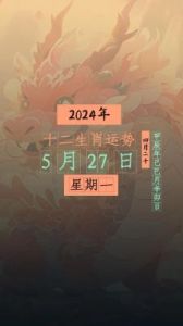 2024年11月21日十二生肖运势大揭秘