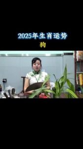 属狗人士2025年运势及运程