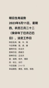 12月5日，十二生肖运势解析：兔、马、猴幸运运势颇佳