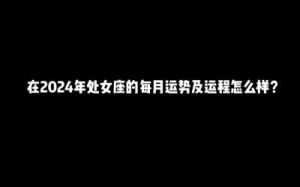 处女座2024年12月感情运势详解