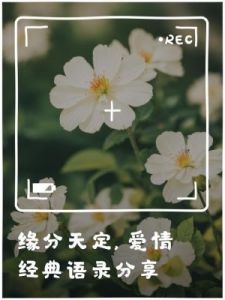 喜讯传来，三大星座迎来脱单好时机，春节前夕缘分天注定