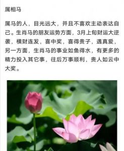 9天后，喜气洋洋，事业爱情皆旺的3大属相！