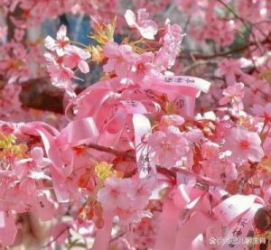 三大生肖：桃花运势强劲，爱情甜蜜，吉星驻足春节前后！