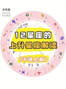 2024年12月，你的上升星座运势