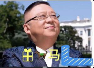 李居明2025年生肖马全年运势及运程解析