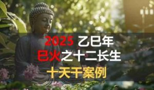 2025年1月5日至2月2日的十天干日柱流月运势