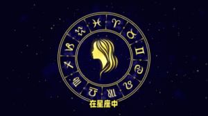 魅力无法掩藏，身边追求者众多的星座