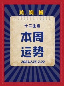 生肖兔、猪、猴明日运势：12月23日，运势上涨，接财接福