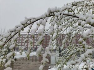 三大生肖：爱情事业齐旺，桃花盛开步入佳境