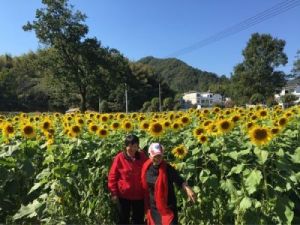 迎接精彩时光，4属相将花开如意，财富和健康同在，甜蜜爱情连连！