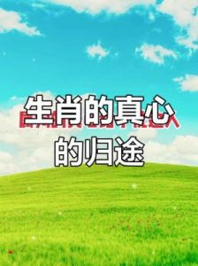 5号开始，旧爱回归，抚平心灵创伤，全情投入的四大生肖