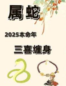 生肖蛇2025年1月爱情运势分析