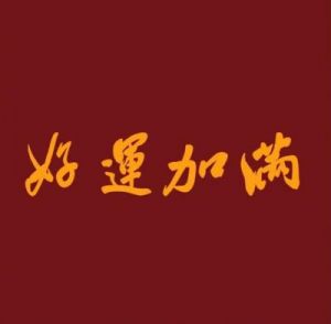 11月下旬，霉运散去好运来，4属相桃花旺盛，爱情甜蜜，日子红火