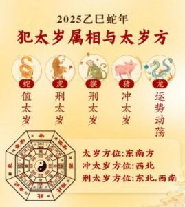 生肖龙、马、羊2025年运势预测：桃花和财运双双爆发！