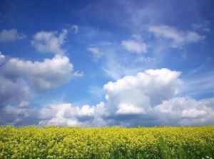 四大生肖：恩爱甜蜜，夏日爱情运势火热来袭！