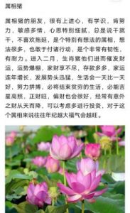 爱情甜蜜，生活无忧，喜事自然来，桃花盛开四季相随