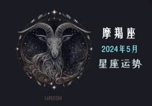 2025年摩羯座十二星座运势