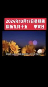 2024年12月15日的运势预测：张予骞分享通胜指南