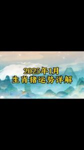 2025年1月属猪人运势解读：生肖猪事业、财运、感情、健康详细预测