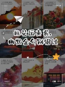 桃花运降临，这四大生肖的爱情缘分将迎来转机哦