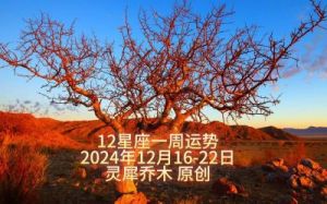 周运: 佩妮 (2024年12月30日至1月5日) 星座运势