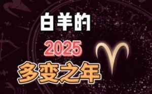 2025年白羊座感情运势