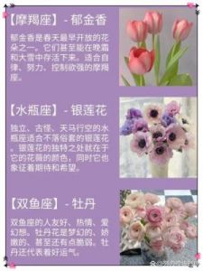 桃花运超好，却不花心的星座会是哪个？