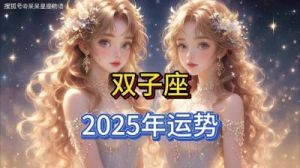 双子座2025年财运展望