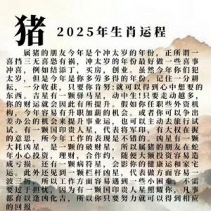 2025年上半年生肖运势大揭秘：吉兆最佳，财运亨通，喜事连连