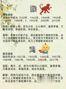 最佳生肖配对：1973年出生的你应选择哪个生肖？