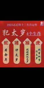 2025年生肖猴全年运势详解