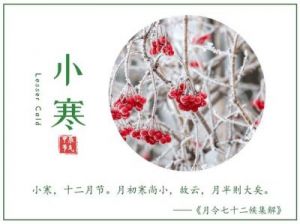 生肖狗，甲辰年小寒节气：2025年1月6日至1月21日综合运势分析！