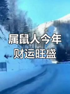 1972年出生的属鼠人2025年的运势与运程详解，以及在蛇年每个月的运程