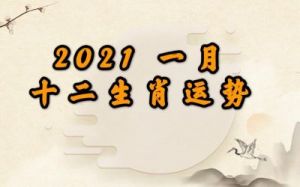 12月开启新篇章：三生肖事业爱情双重回暖，迎接美好未来