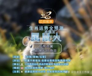 生肖属鼠2025年整体运势详解：淡定观变，稳健守福