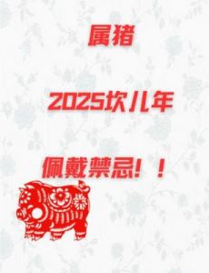 2025年1月8日的生肖运势