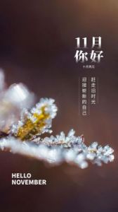 11月开始，四个星座运势看涨，付出努力有收获