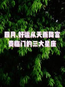 惊喜连连！这些星座即将在年底迎来财运和好运！