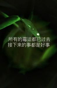 好运降临，喜事频传，前景光明，事业有成，霉运散去至四月底