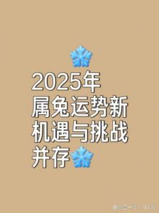 属兔人2025年事业运势