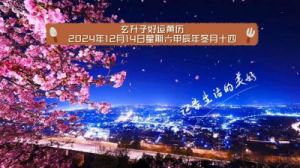 每日运势解读：2024年12月28日，星期六