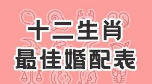 12生肖中，有2生肖是天生一对，一吻定终身，常年感情稳定，不会再婚。