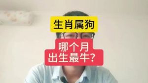 2025年生肖狗的小人是谁？运势如何？