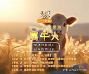 属牛人：2025年每月运势详解