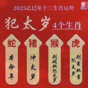 2025年1月13日的生肖运势