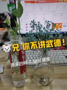 这三个星座最容易不讲武德：出人意料，不受规则束缚，随心所欲