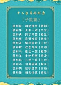 属鼠人与其他属相配对分析：最佳和不适合的伴侣选择