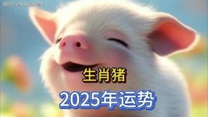 属猪：2025年每月运势详解